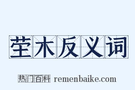 茔木反义词是什么意思的图片